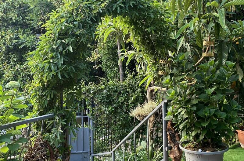 Гостевой дом «Апельсин»