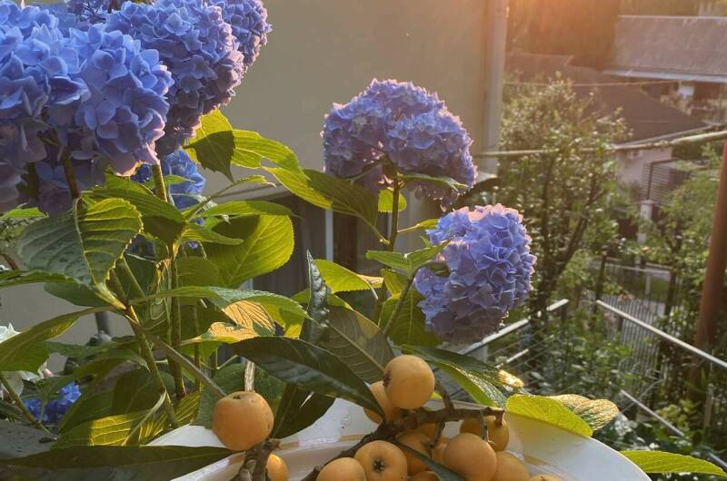 Гостевой дом «Апельсин»