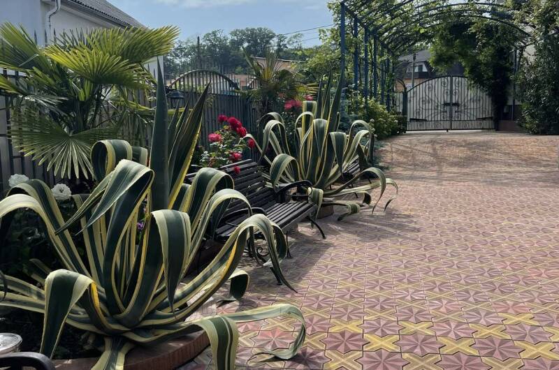 Гостевой дом «Горная орхидея»