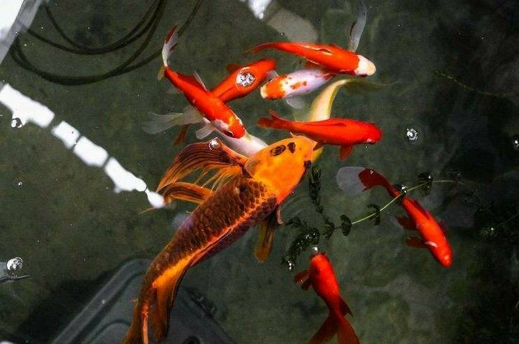 Дом по ключ на Сочинском шоссе