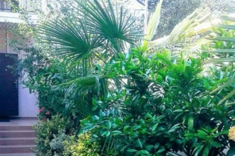 Гостевой дом «Планета»