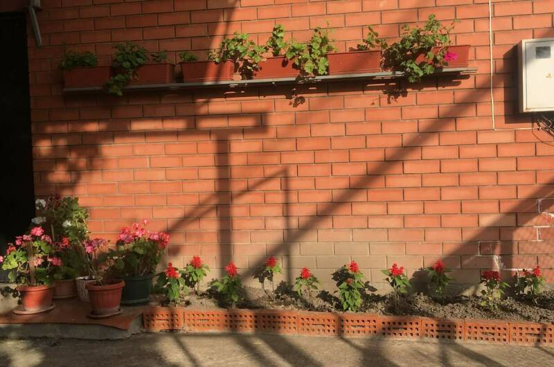 Гостевой дом «ТриЯ»