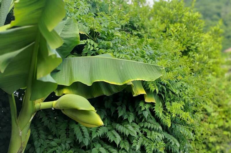 Частный сектор на Тихорецкой 2