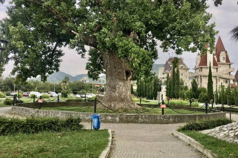 Апартаменты «Моремирт»