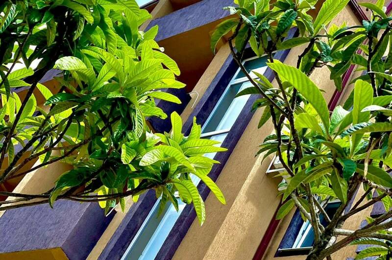 Гостевой дом «Чародейка»