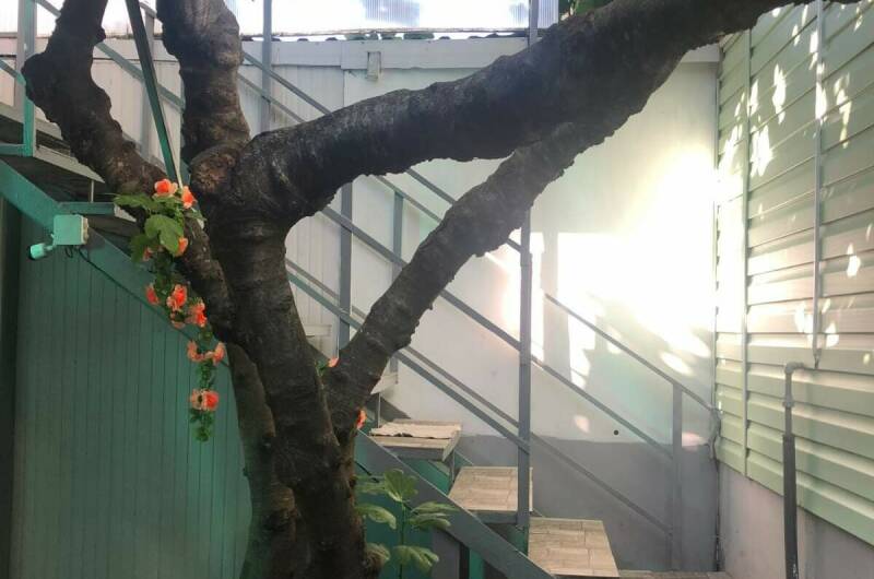 Гостевой дом на Греческой