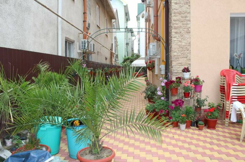 Гостевой дом «Ангелина»