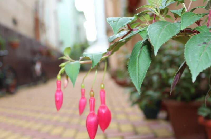 Гостевой дом «Ангелина»