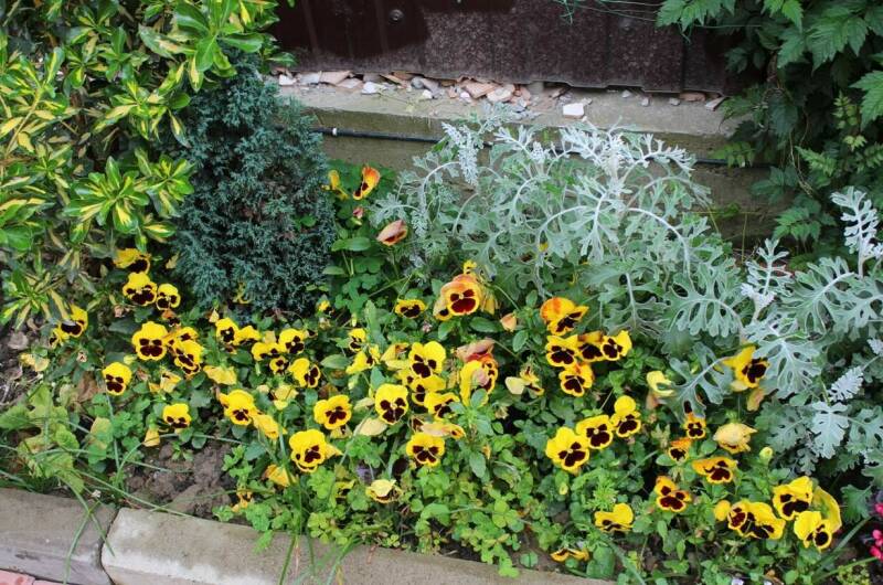 Гостевой дом «Ангелина»