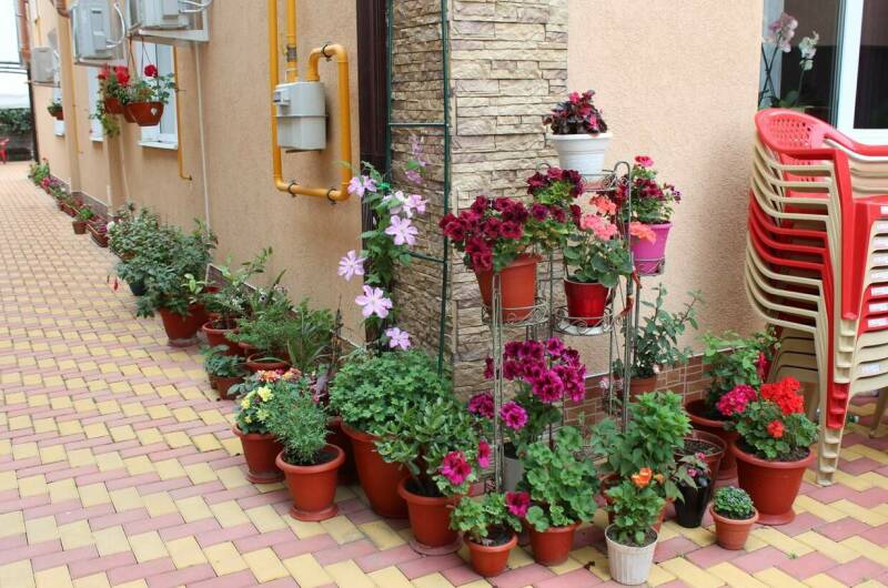 Гостевой дом «Ангелина»