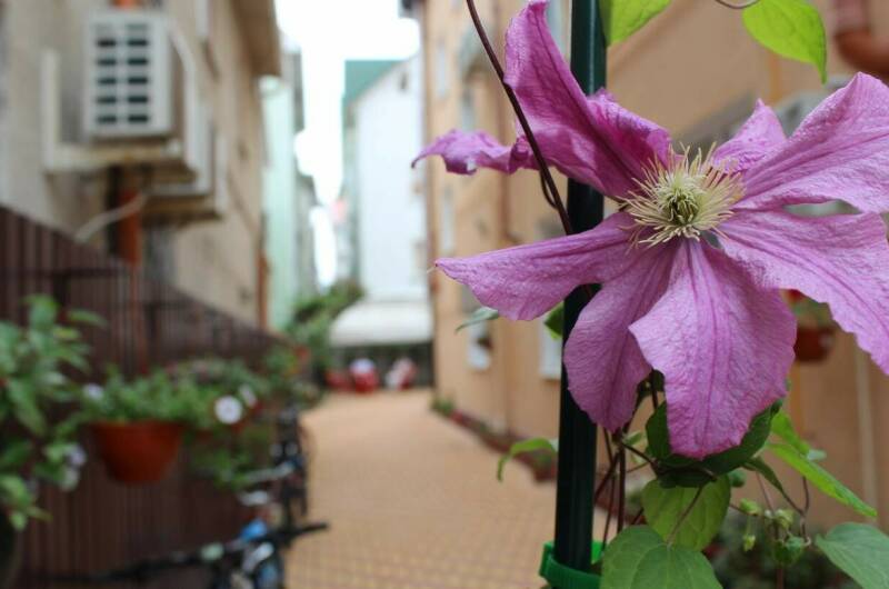 Гостевой дом «Ангелина»