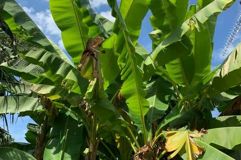 Гостевой дом «Морской Эдем»