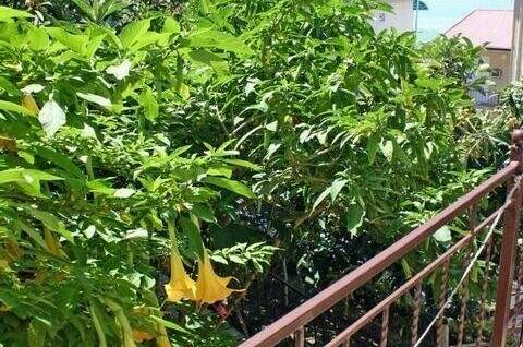 Гостевой дом «Лазурный»