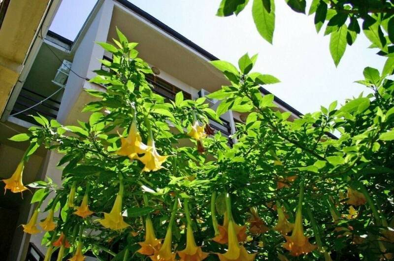 Гостевой дом «Лазурный»