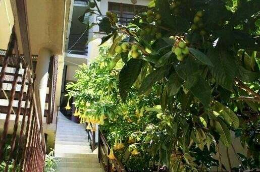 Гостевой дом «Лазурный»