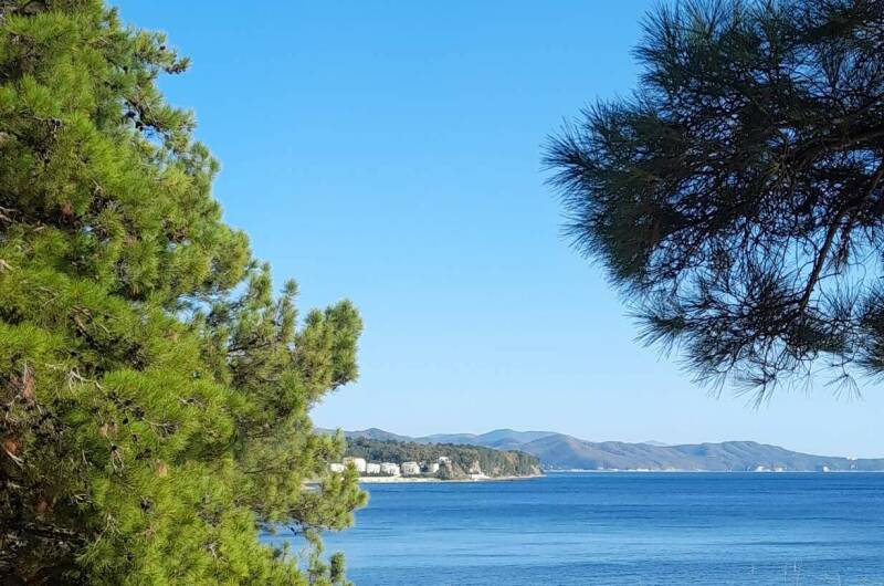 Чудесный домик под ключ