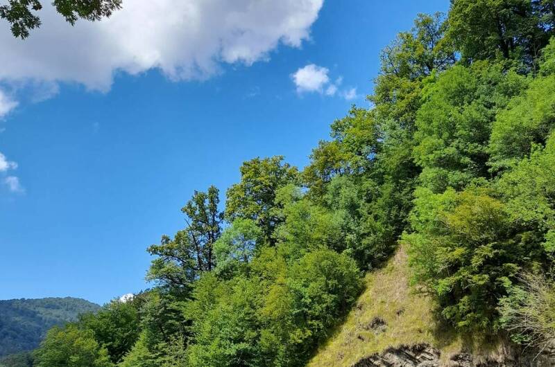 Чудесный домик под ключ