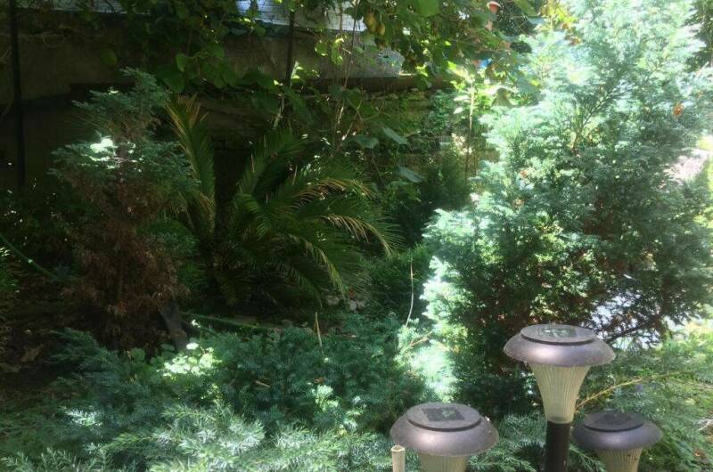 Гостевой дом на Самшитовой