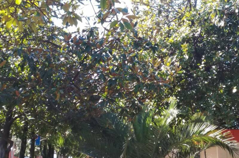 Гостевой дом «Зеленые фонарики»