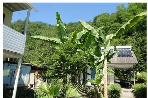 Гостевой дом «ЛайМ»