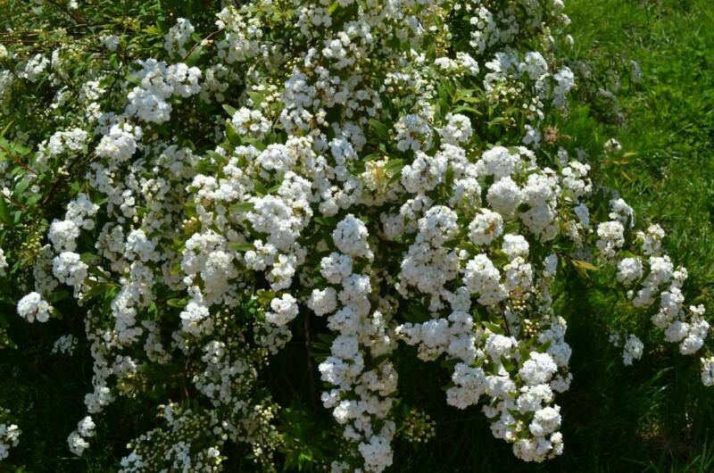 Гостевой дом «РоманТиС»