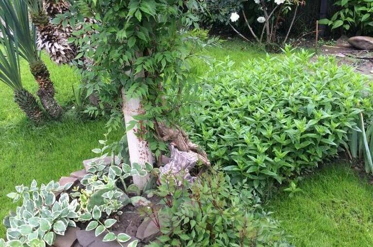 Гостевой дом «РоманТиС»