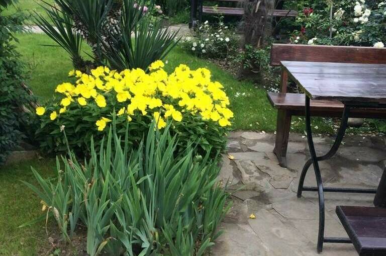 Гостевой дом «РоманТиС»