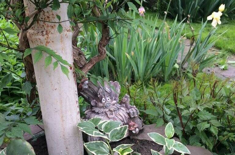 Гостевой дом «РоманТиС»