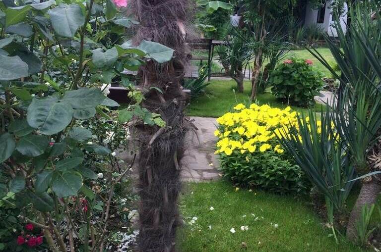 Гостевой дом «РоманТиС»