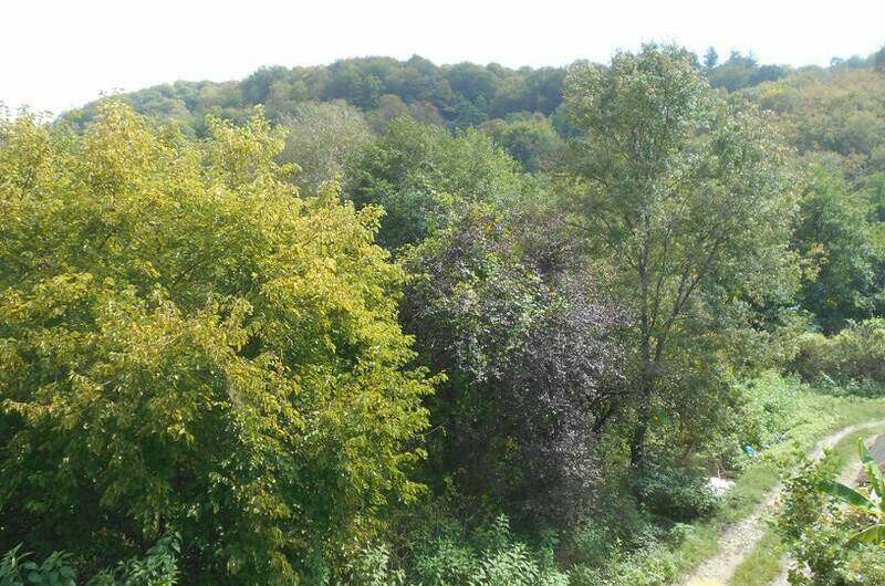 Гостевой дом «АВ»