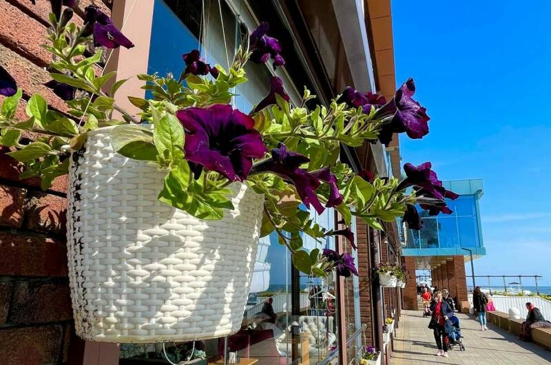 Вилла «Мандарин»