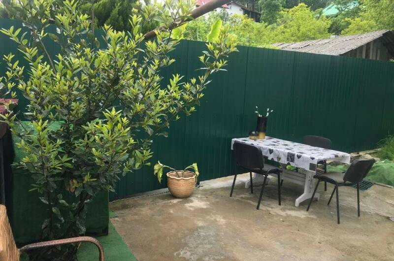 Гостевой дом «Bamboo dom»