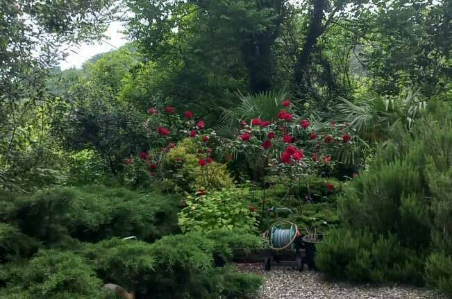 Гостевой дом «Виктор и Я»