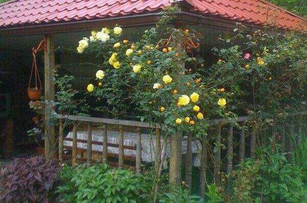 Гостевой дом «Виктор и Я»