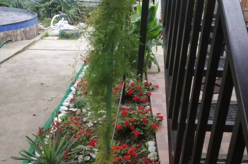 Гостевой дом «Пальмира»