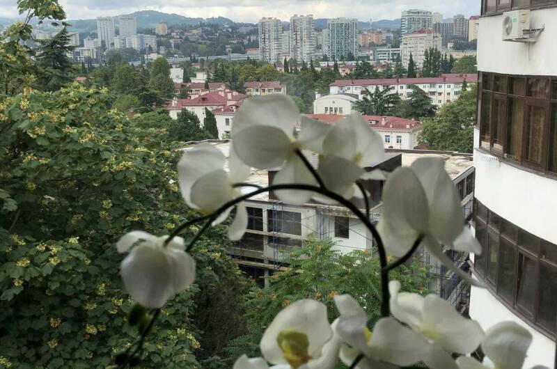 Апартаменты «Vinograd»