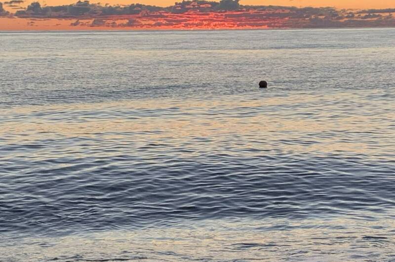 Гостевой дом «Леон»