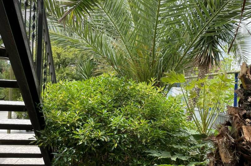 Гостевой дом «Маруся»