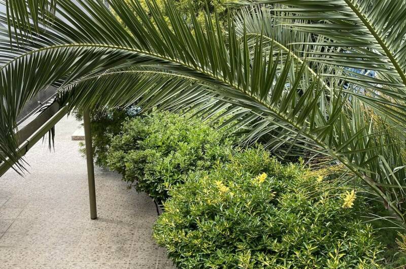 Гостевой дом «Маруся»