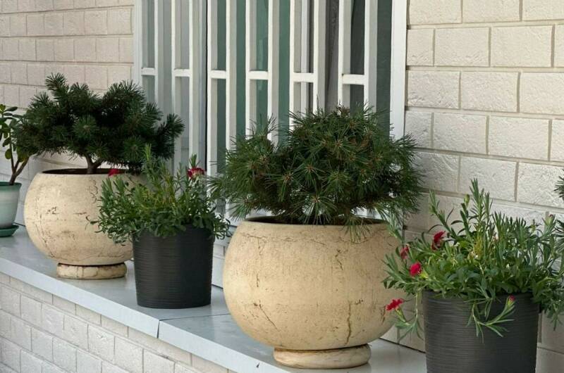 Гостевой дом «Мир»