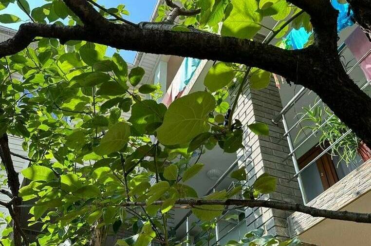 Гостевой дом «Мир»