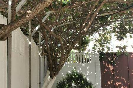 Гостевой дом «Киви»