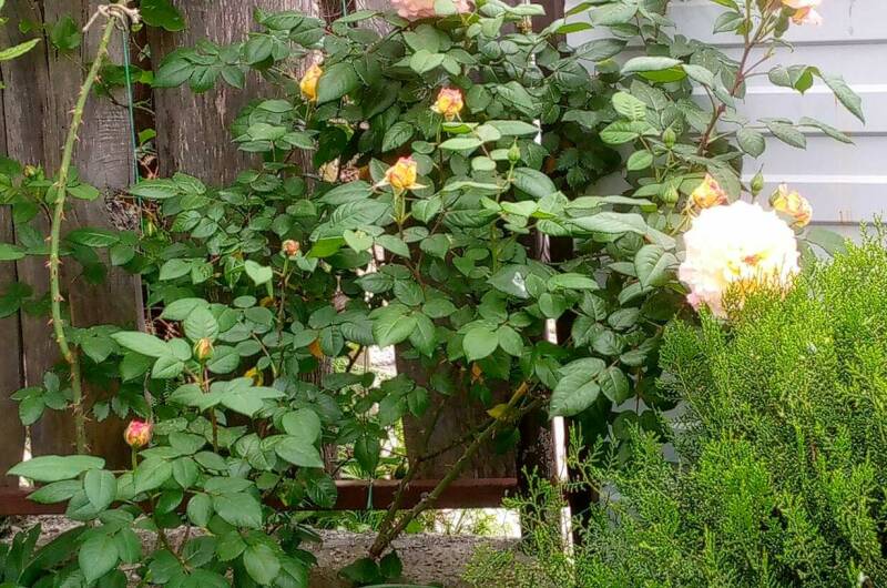 Гостевой дом на Магистральной