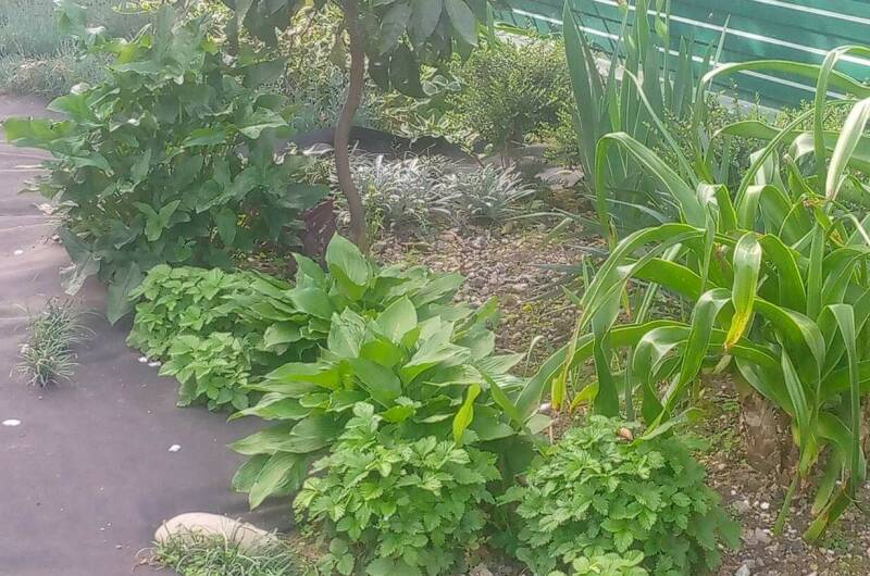 Гостевой дом на Магистральной