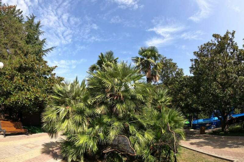 Гостевой дом «Эдем»