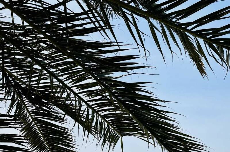 Апартаменты у моря в «ЖК Посейдон»