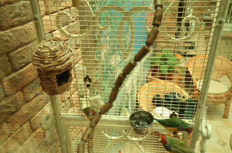 Комплекс апартаментов «Анита — Сочи»