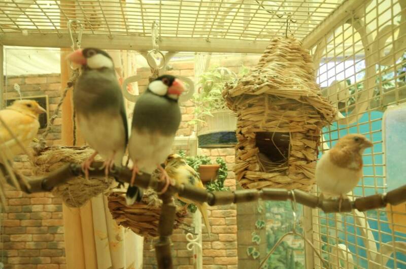 Комплекс апартаментов «Анита — Сочи»