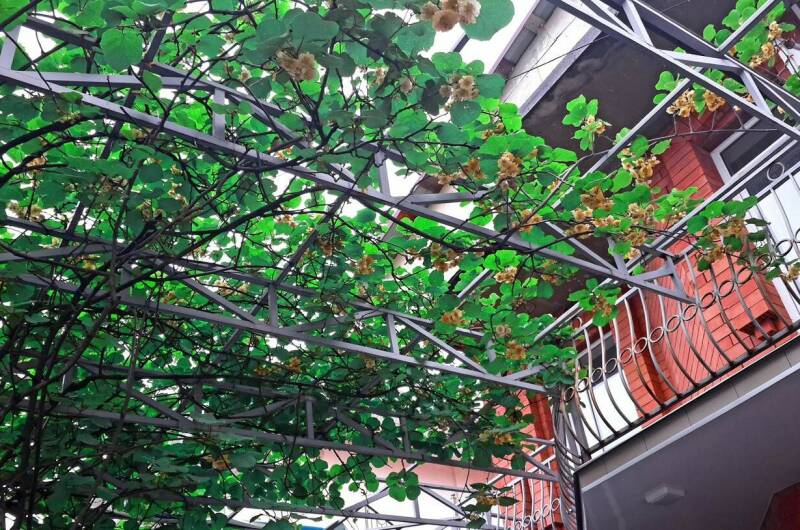 Гостевой дом «Аметист»