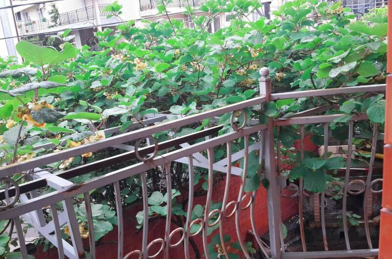 Гостевой дом «Аметист»